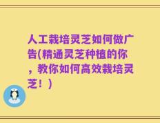 人工栽培灵芝如何做广告(精通灵芝种植的你，教你如何高效栽培灵芝！)