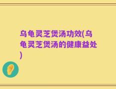 乌龟灵芝煲汤功效(乌龟灵芝煲汤的健康益处)