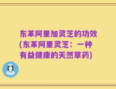 东革阿里加灵芝的功效(东革阿里灵芝：一种有益健康的天然草药)