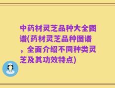 中药材灵芝品种大全图谱(药材灵芝品种图谱，全面介绍不同种类灵芝及其功效特点)