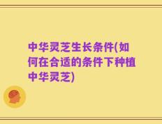 中华灵芝生长条件(如何在合适的条件下种植中华灵芝)