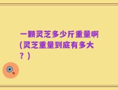 一颗灵芝多少斤重量啊(灵芝重量到底有多大？)