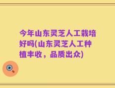 今年山东灵芝人工栽培好吗(山东灵芝人工种植丰收，品质出众)