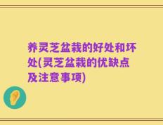 养灵芝盆栽的好处和坏处(灵芝盆栽的优缺点及注意事项)