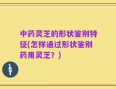中药灵芝的形状鉴别特征(怎样通过形状鉴别药用灵芝？)
