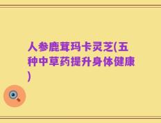 人参鹿茸玛卡灵芝(五种中草药提升身体健康)