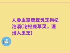 人参虫草鹿茸灵芝枸杞泡酒(泡杞鹿草灵，酒浸人虫芝)