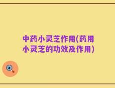 中药小灵芝作用(药用小灵芝的功效及作用)