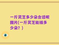 一斤灵芝多少朵合适呢图片(一斤灵芝能插多少朵？)