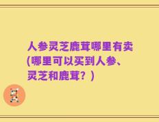 人参灵芝鹿茸哪里有卖(哪里可以买到人参、灵芝和鹿茸？)