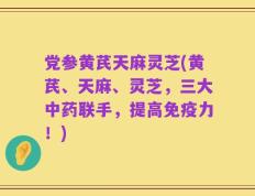 党参黄芪天麻灵芝(黄芪、天麻、灵芝，三大中药联手，提高免疫力！)