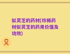似灵芝的药材(珍稀药材似灵芝的药用价值及功效)