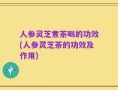 人参灵芝煮茶喝的功效(人参灵芝茶的功效及作用)