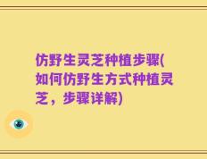 仿野生灵芝种植步骤(如何仿野生方式种植灵芝，步骤详解)