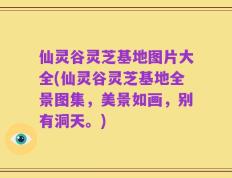 仙灵谷灵芝基地图片大全(仙灵谷灵芝基地全景图集，美景如画，别有洞天。)