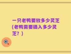 一只老鸭要放多少灵芝(老鸭需要摄入多少灵芝？)