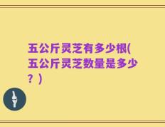 五公斤灵芝有多少根(五公斤灵芝数量是多少？)
