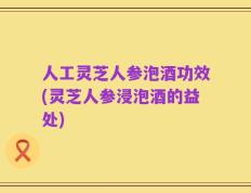 人工灵芝人参泡酒功效(灵芝人参浸泡酒的益处)