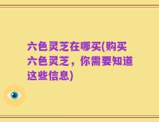 六色灵芝在哪买(购买六色灵芝，你需要知道这些信息)