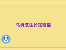 乌灵芝生长在哪里