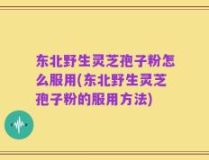 东北野生灵芝孢子粉怎么服用(东北野生灵芝孢子粉的服用方法)