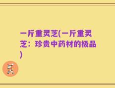 一斤重灵芝(一斤重灵芝：珍贵中药材的极品)