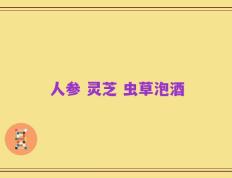 人参 灵芝 虫草泡酒