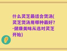什么灵芝最适合煲汤(灵芝煲汤用哪种最好？-健康美味从选对灵芝开始)