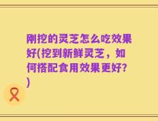 刚挖的灵芝怎么吃效果好(挖到新鲜灵芝，如何搭配食用效果更好？)