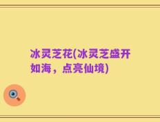 冰灵芝花(冰灵芝盛开如海，点亮仙境)