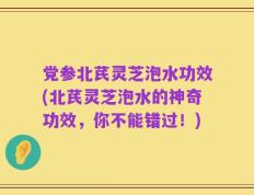 党参北芪灵芝泡水功效(北芪灵芝泡水的神奇功效，你不能错过！)