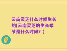 云南灵芝什么时候生长的(云南灵芝的生长季节是什么时候？)