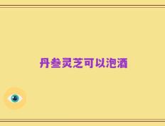 丹叁灵芝可以泡酒