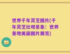 世界千年灵芝图片(千年灵芝壮观景象：世界各地美丽图片展览)