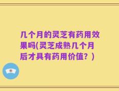 几个月的灵芝有药用效果吗(灵芝成熟几个月后才具有药用价值？)