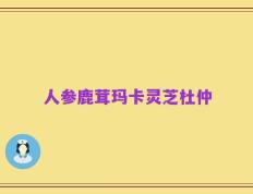 人参鹿茸玛卡灵芝杜仲