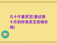几十斤重灵芝(重达数十斤的珍贵灵芝亮相市场)