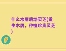 什么木屑栽培灵芝(重生木屑，种植珍贵灵芝)