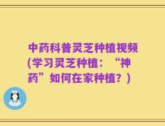 中药科普灵芝种植视频(学习灵芝种植：“神药”如何在家种植？)