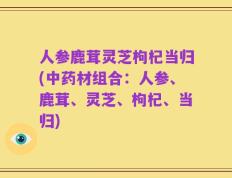 人参鹿茸灵芝枸杞当归(中药材组合：人参、鹿茸、灵芝、枸杞、当归)