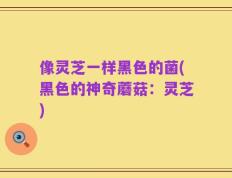 像灵芝一样黑色的菌(黑色的神奇蘑菇：灵芝)