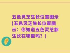 五色灵芝生长位置图示(五色灵芝生长位置图示：你知道五色灵芝都生长在哪里吗？)