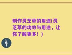 制作灵芝草的用途(灵芝草的功效与用途，让你了解更多！)