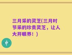 三月采的灵芝(三月时节采的珍贵灵芝，让人大开眼界！)