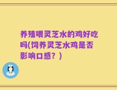 养殖喂灵芝水的鸡好吃吗(饲养灵芝水鸡是否影响口感？)