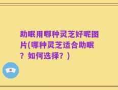 助眠用哪种灵芝好呢图片(哪种灵芝适合助眠？如何选择？)