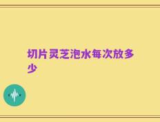 切片灵芝泡水每次放多少