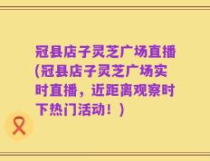 冠县店子灵芝广场直播(冠县店子灵芝广场实时直播，近距离观察时下热门活动！)