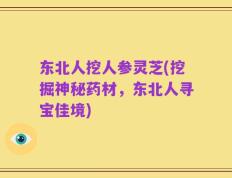 东北人挖人参灵芝(挖掘神秘药材，东北人寻宝佳境)