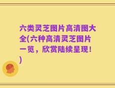 六类灵芝图片高清图大全(六种高清灵芝图片一览，欣赏陆续呈现！)